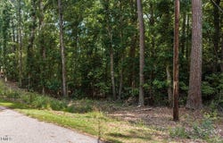 S Holiday Drive, Macon, NC 27551