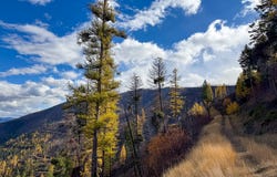 Lolo, MT 59847