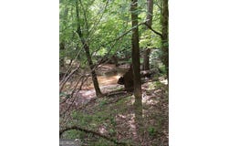 Pulliam Mill Road, Dewy Rose, GA 30634