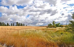 Boyd Lane, Anatone, WA 99401