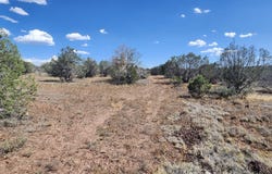 Parcel B N Cienega, Williams, AZ 86046