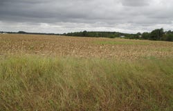 GRAY ROAD lot: 6, DAGSBORO, DE 19939