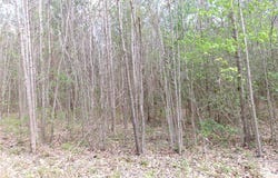 69-(6)-4 Snap Lodge Rd, Dewitt, VA 23840