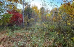 560th Street, Palisade, MN 56469