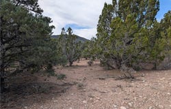 Side Hill Pass lot: 1-D, Pioche, NV 89043