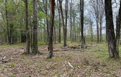 Cr 413, New Houlka, MS 38850