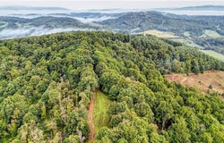 00 Lot 28 New Hope Church Road, Laurel Springs, NC 28644
