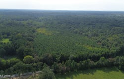 1100 Sharon Road lot: 1, Canton, MS 39046