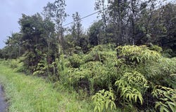 OHIA AVE, Mountain View, HI 96771