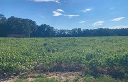 Stott Road, Bailey, NC 27807