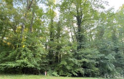 Bonanza Drive, Salisbury, NC 28144