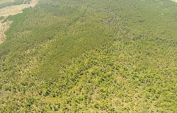 Frank Trahan Road, Reeves, LA 70658