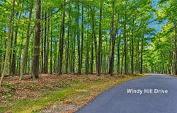 Windy Hill Drive, Bellaire, MI 49615