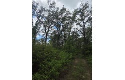 5345 Hwy 36, Milano, TX 76556