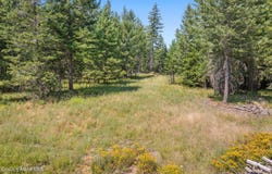 E Quarter Mile Rd, Athol, ID 83801
