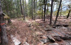 212-E Tree Top Path, Moyers, OK 74557