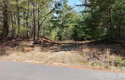 Staghorn Road, Purlear, NC 28665