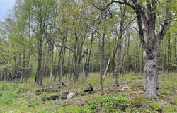 174 Tilda Hill Rd, Florida, MA 01247