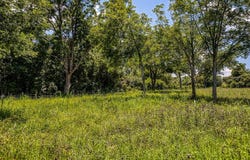 00 Egypt Lane, Washington, TX 77880