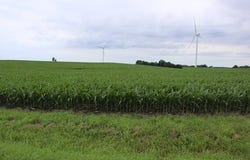 24801 1200 E St, Walnut, IL 61376