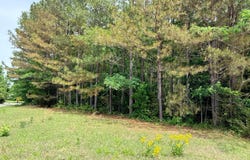 OAK HILL Cir, Hamilton, AL 35570