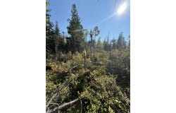 585 N Czech Ln, Hessel, MI 49745