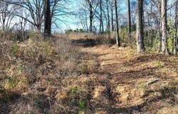 MUNFORD GILTEDGE Rd, Burlison, TN 38015