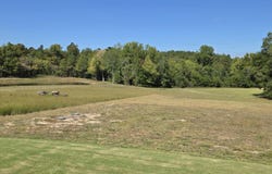 105 Water Willow Lane, Zebulon, NC 27597