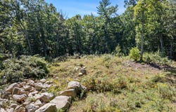39 Chickering Rd, Spencer, MA 01562