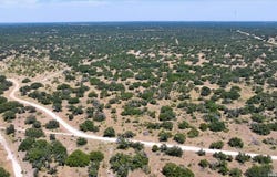 264 PHEASANT TRL, Menard, TX 76859