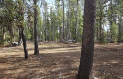 Scott View Drive, Chiloquin, OR 97624