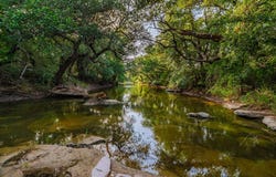 28 CR 458, Brady, TX 76825