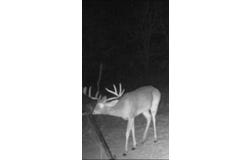 13100 US 281 N, Jacksboro, TX 76458