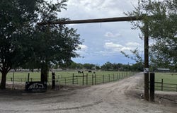 Alma Ln E Pasture), Pima, AZ 85543
