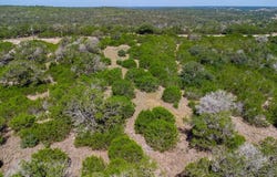 350 Connie Lane, Ingram, TX 78025