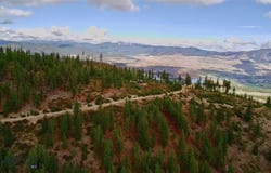 W Fork Combest Creek Road, Plains, MT 59859