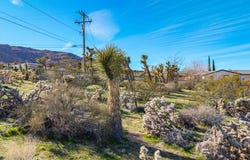 61017 Navajo Trail, Joshua Tree, CA 92252