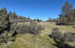 Whitepine St, Hornbrook, CA 96044