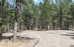 Lot S, Belle Fourche, SD 57717