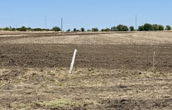 TBD 147ac Fm 932, Hamilton, TX 76531