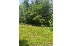 Dock Drive/Cypress Road, BUCHANAN, TN 38222