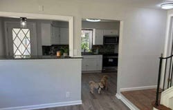 48 Old Budd Lake Rd, Mount Olive Twp., NJ 07828-1812