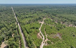 18479 FM 1013, Spurger, TX 77660
