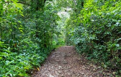 Zanja, Camuy, PR 00627
