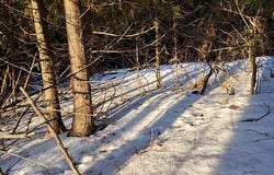 County Rd E, Baileys Harbor, WI 54202