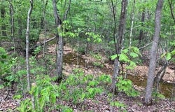 280 Madison CR 410, Fredericktown, MO 63645