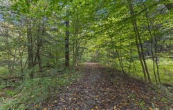 169 Pine Lane, Enosburg, VT 05450