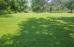 14207 Jay Street, Dyer, IN 46311