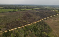 Hempstead 313 Road, Ozan, AR 71855