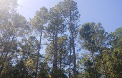 E Newton Street, Bay Saint Louis, MS 39520